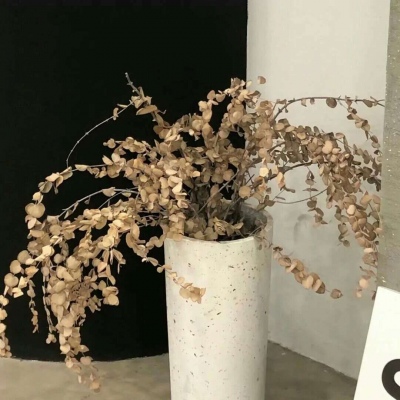 Furry插画风格灵感兽圈群